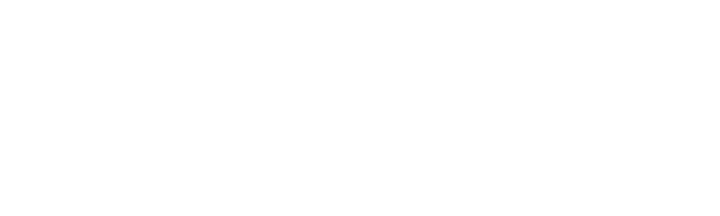logo (13)